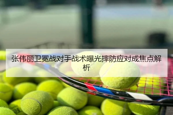 张伟丽卫冕战对手战术曝光摔防应对成焦点解析